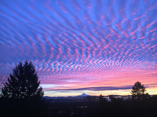 Sunrise in Portland Oregon a few weeks ago Mount Hood on the horizon