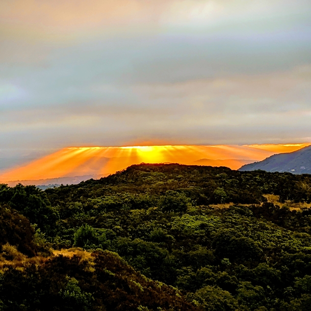 Sunrise in the California Santa Cruz Mountains OC