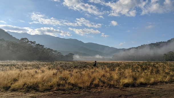 Sunrise on a chilly morning at Geehi Flats - Kosciuszko national  NSW 