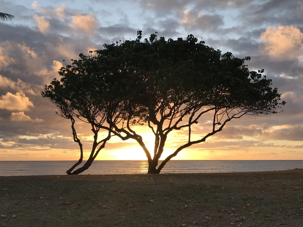 Sunrise on the eastern shore of Oahu  x  OC