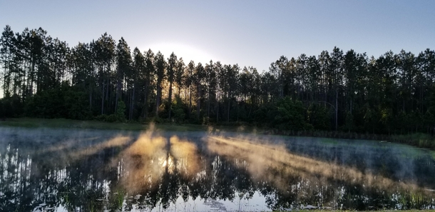 Sunrise on the swamp Northern Florida 