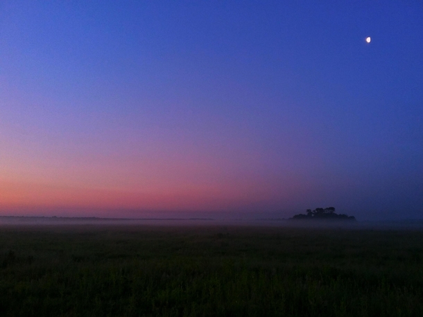 Sunrise on the Ukrainian field  OC