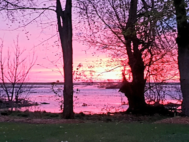Sunrise over the marsh Turkey Point Lake Erie Canada OC x