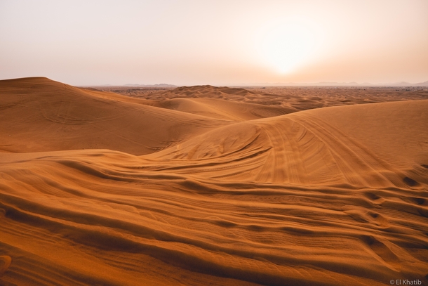 Sunrise over the red dunes of Lahbab United Arab Emirates 