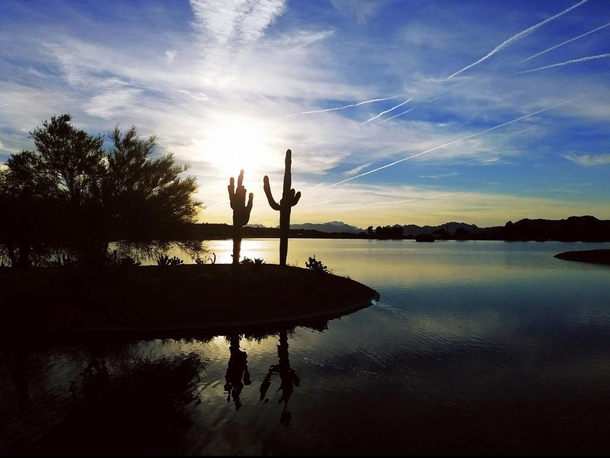 Sunrise Phoenix Arizona 