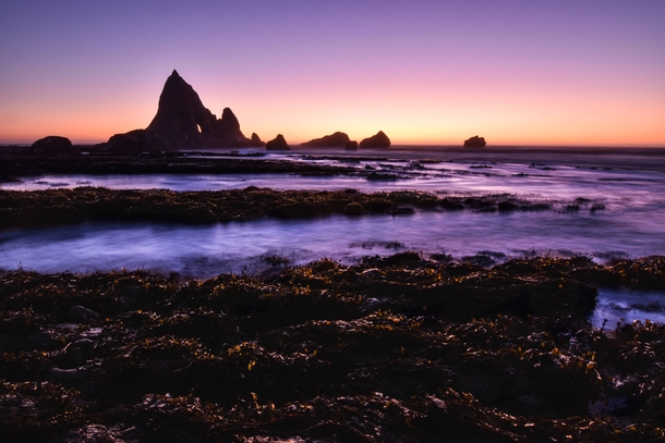 Sunset along the California coast OC x