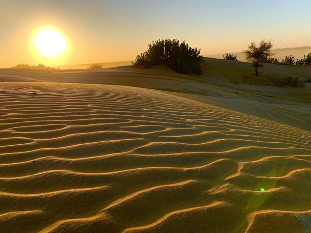 Sunset at Sam sand dunes Rajasthan 