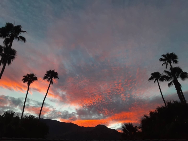 Sunset From Palm Springs CA 
