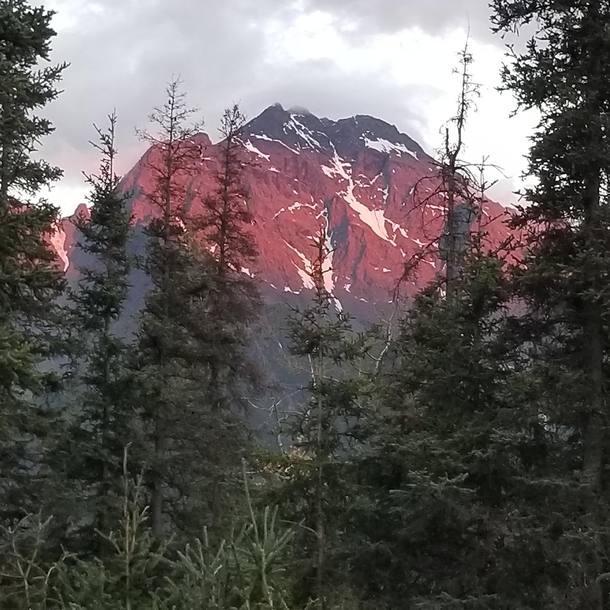 Sunset hitting Pioneer Peak in Palmer AK This was taken at around am in July from uncles backyard  x  