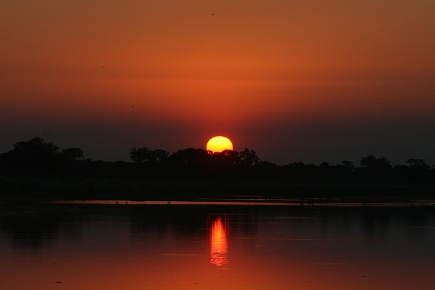 Sunset in South Africas Kruger National Park 