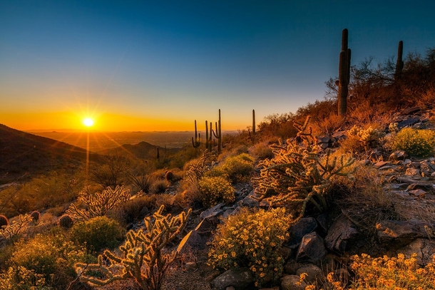 Sunset in the desert near Scottsdale 