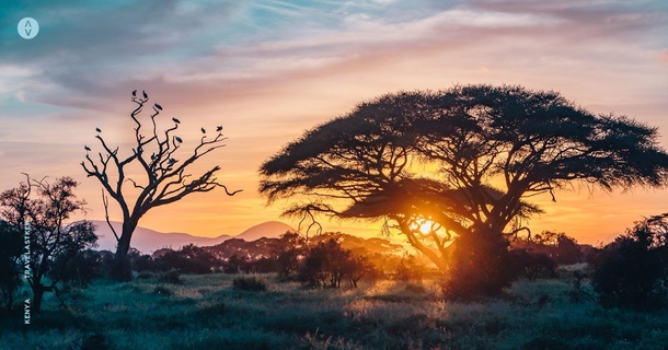 Sunset in Tsavo West National Park Kenya 