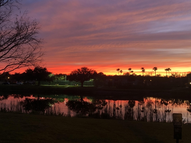 Sunset near Tampa FL