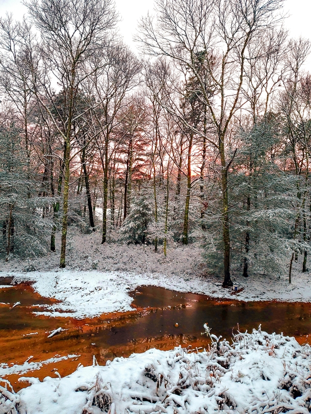 Sunset on a snowy day in the forest on Cape Cod MA 