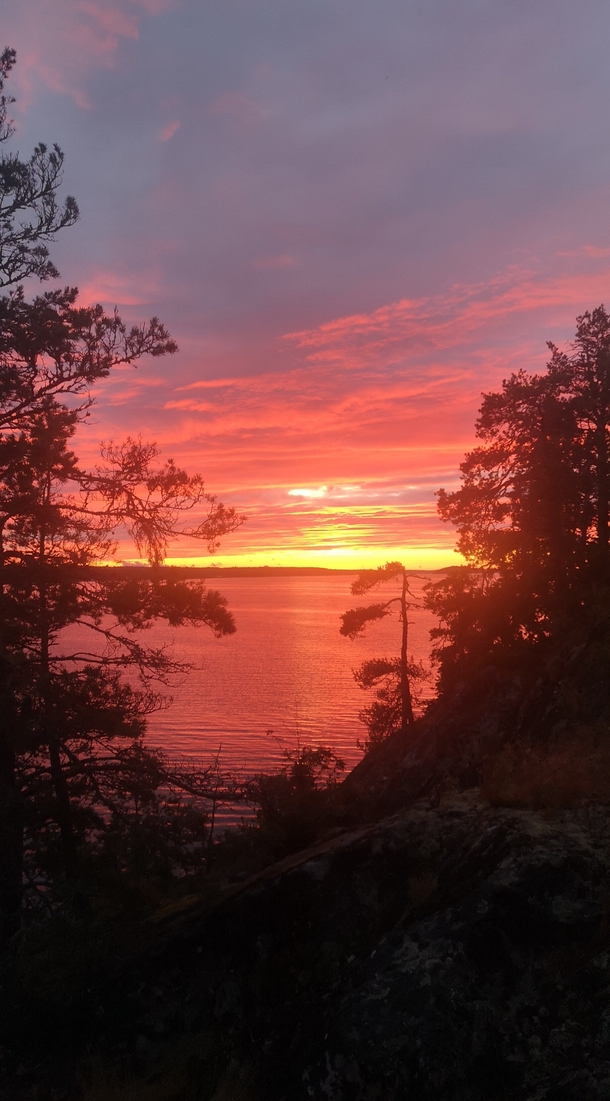 Sunset on eastern coast of Sweden  x