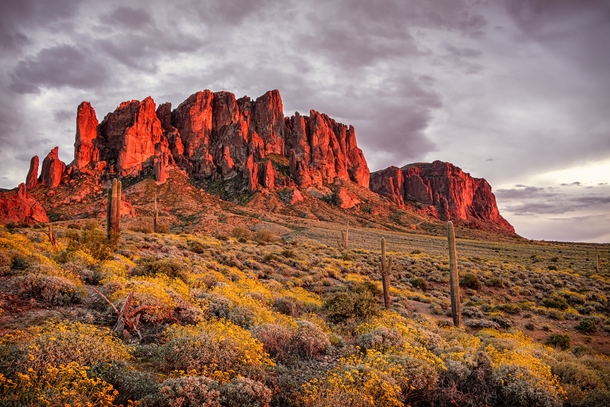 Sunset on the Superstition Mountains Apache Junction Arizona  by Michael Wilson