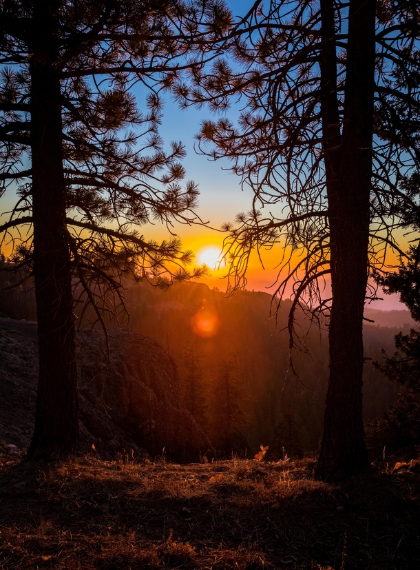 Sunset on the Trail of Gargoyles in the Stanislaus National Forest of California OC x