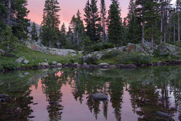 Sunset through the alpine forest of Colorado 