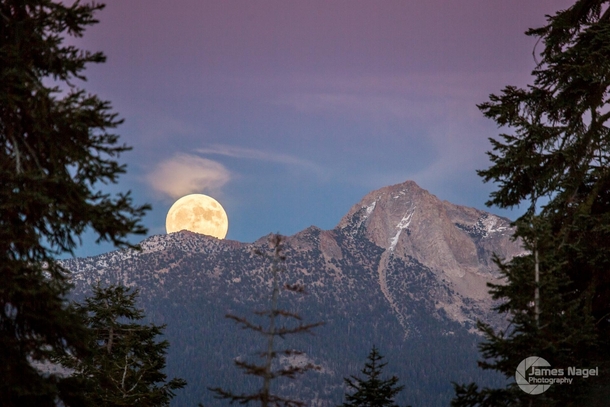 Super Moonrise from Badger Summit Meadow in Yosemite CA 
