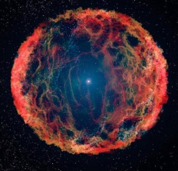 Supernova SN J
