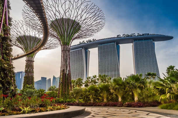 Supertree Grove Singapore 