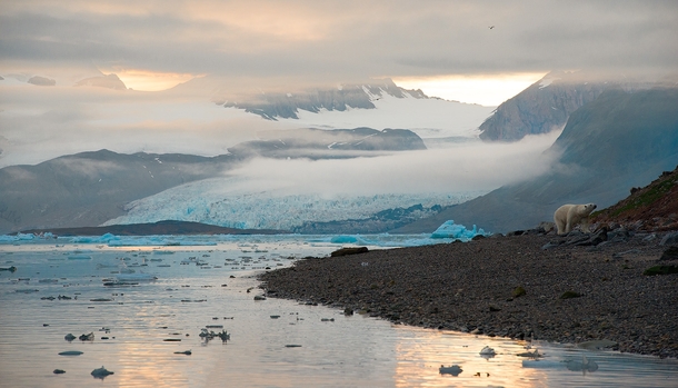 Svalbard Glacier by Andre Ivedernikov 