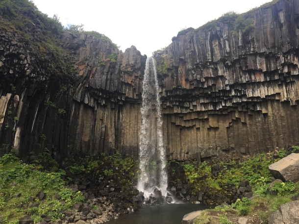 Svartifoss Black Falls waterfall in Skaftafell Iceland surrounded by magmatic basalt columns 