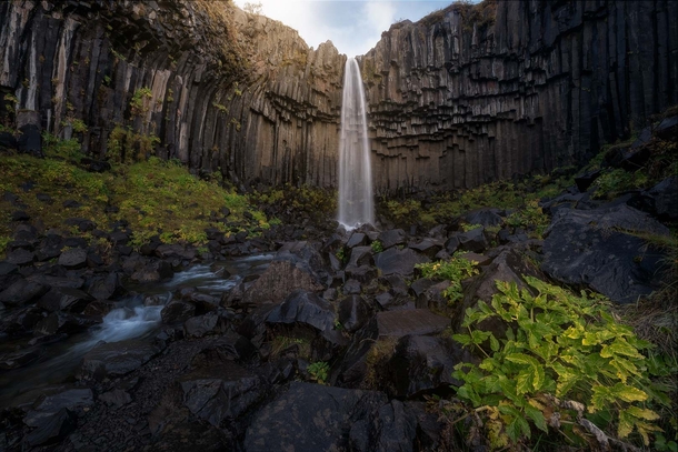 Svartifoss waterfall Iceland 