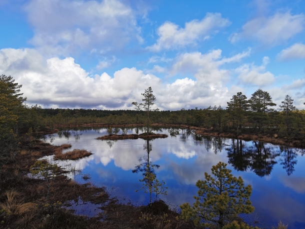 Swamps in Viru Raba Park Estonia Amazing reflective waters 