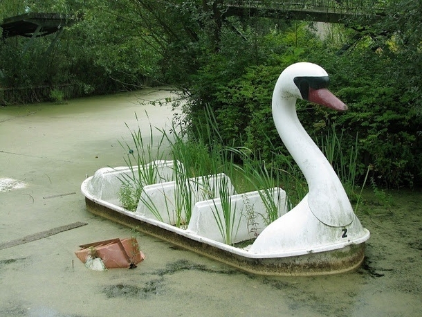 Swan boat ride 