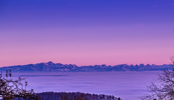 Swiss Alps Above the Clouds 