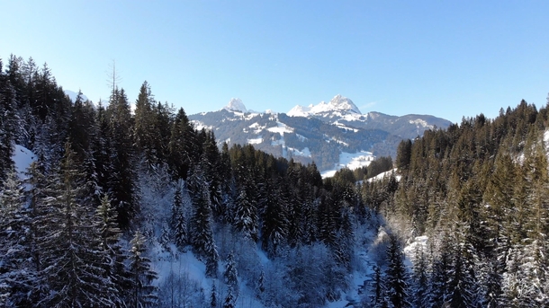 Swiss forest and mountains Turbachstrasse Switzerland  Watch it in K video in the comments