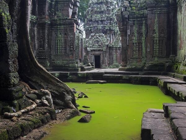Ta Prohm Temple Angkor Siem Reap Province Cambodia 