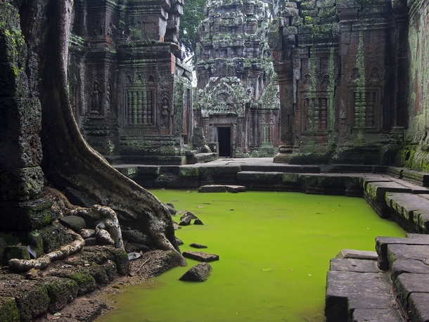 Ta Prohm Temple Cambodia 