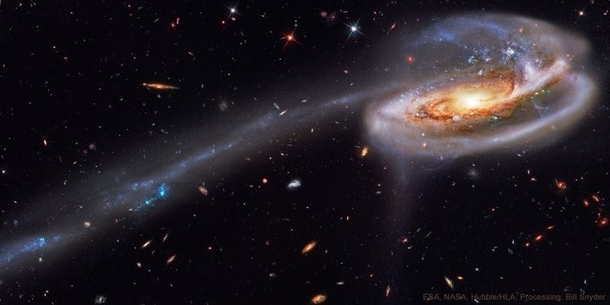 Tadpole galaxy is situated in the constellation Draco Its tail is over  light-year long Credit Chandra X-ray Observatory