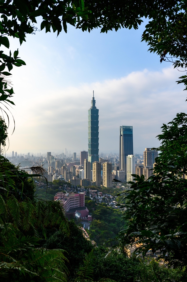 Taipei  framed by trees from Xiangshan Trail 
