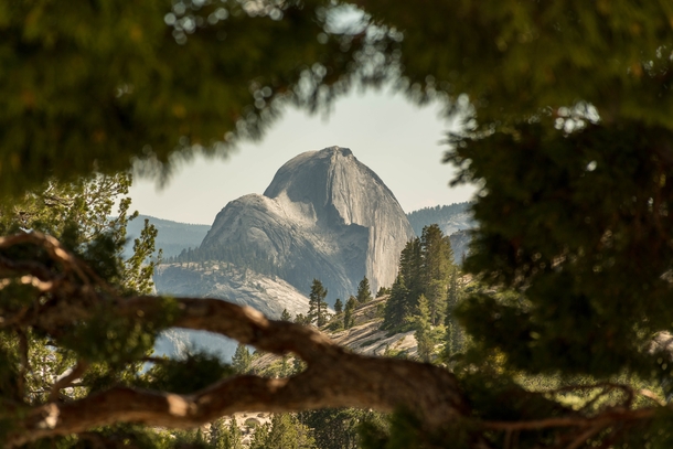 Take a peak at the often-ignored rear face of Half Dome Yosemite National Park OC