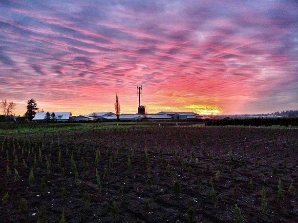 Taken at sunset after planting trees in lower BC Canada 