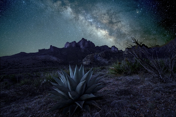 Taken at the foot of the Chisos Mountains in Big Bend National Park this past Sunday morning My first Milky Way pic of  