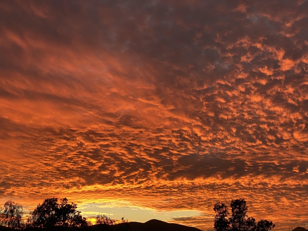 Taken in my back yard last night on an iPhone  Pro zoom lens Thousand Oaks California 