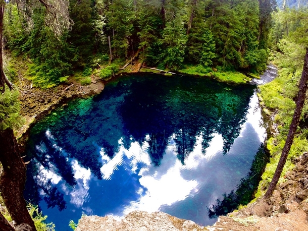 Tamolich Pool Oregon 