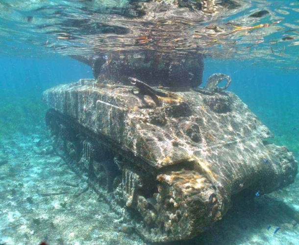 Tank after an invasion 
