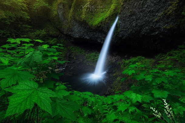 Tear of the Earth by Victor Carreiro Ponytail Falls OR 