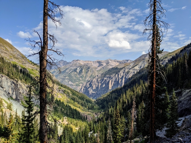 Telluride Colorado framed by two dead trees 