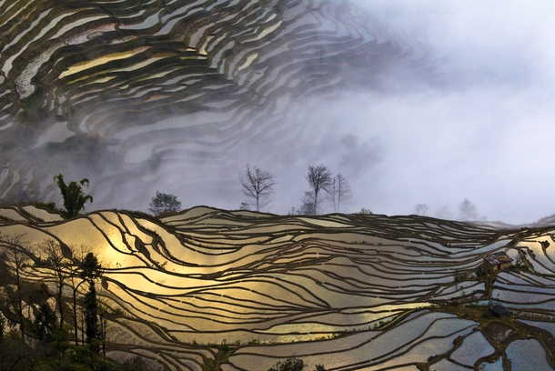 Terraced rice fields in the village of Bada Yuanyang County China 
