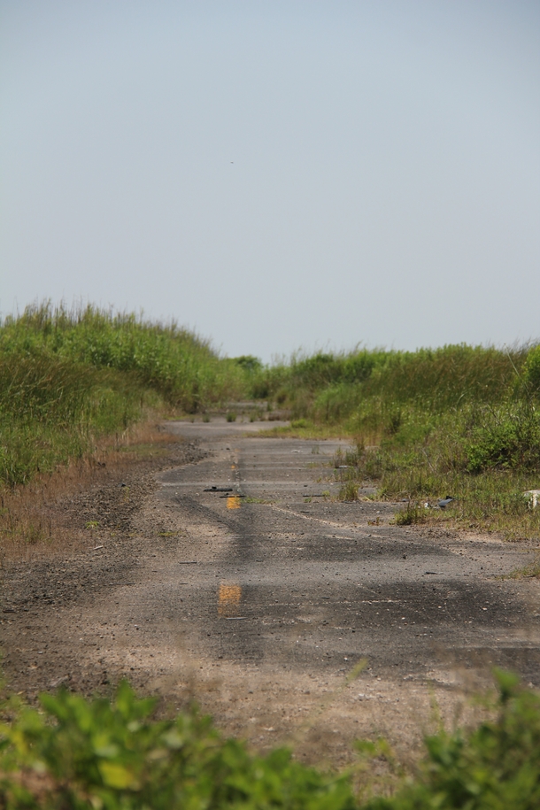 Texas Highway  Abandoned To Nature West Of Sea Rim State Park -  