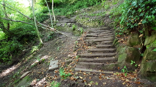 th Century old steps in the woods Cheshire UK OC x