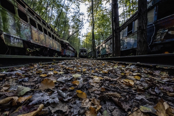 The Abandoned Trolley Cars Photorator