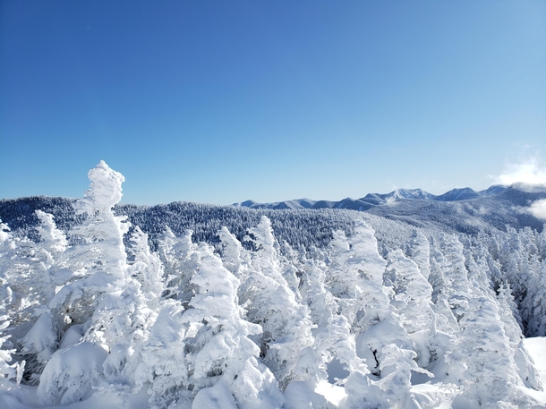 The Adirondacks and wind-frosted forests from the summit of Cascade Mountain 