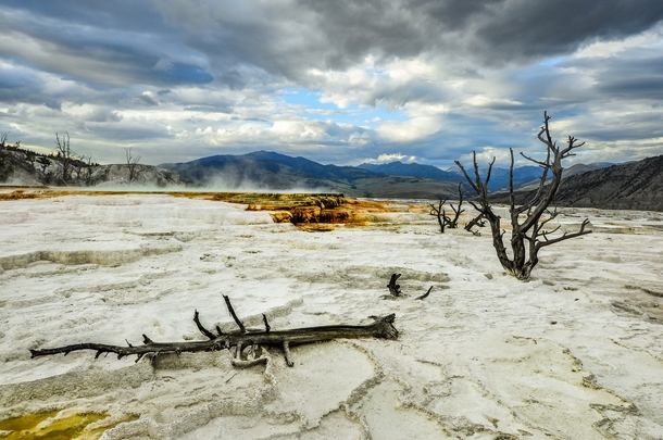The alien landscape of Mammoth Hot Springs - Yellowstone National Park WY 